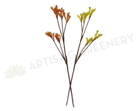 F0104 Kangaroo Paw Spray 75cm - 4 Styles